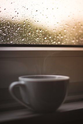 tea cup on a rainy day