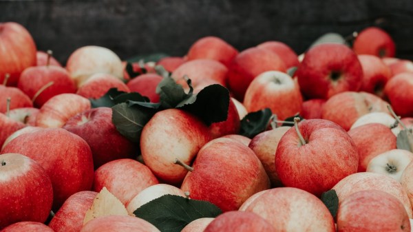 Photo by Joanna Nix on Unsplash