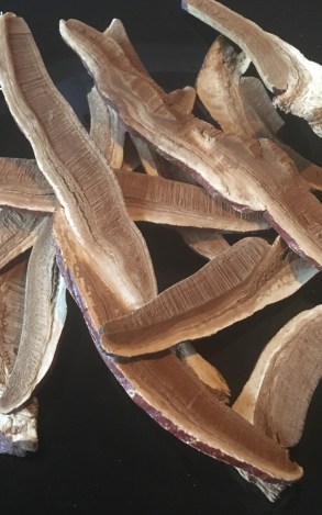 Dried, sliced reishi mushrooms
