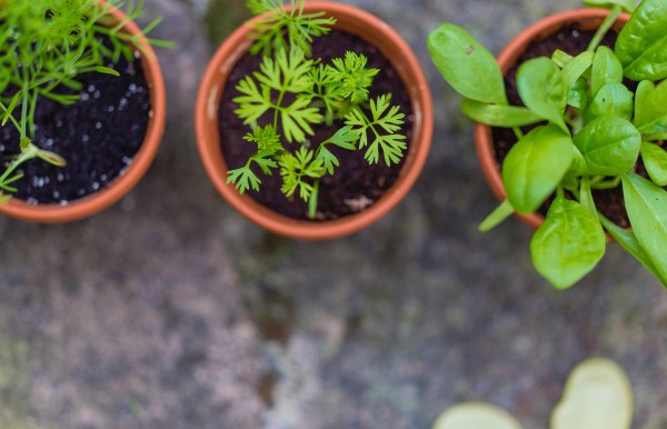 Photo by Markus Spiske on Unsplash